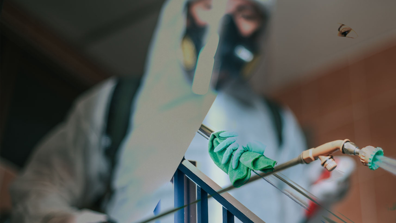 Дезинфекция в Сочи