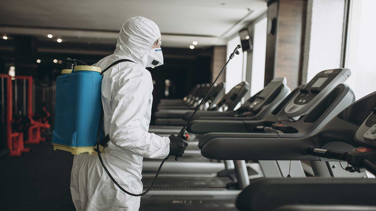 Дезинсекция в сочи