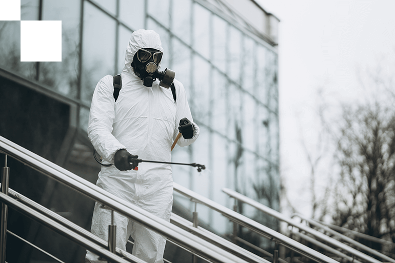 Дератизация территорий Сочи