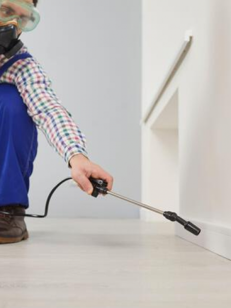 Уничтожение Микробов в Квартире 50-100м²