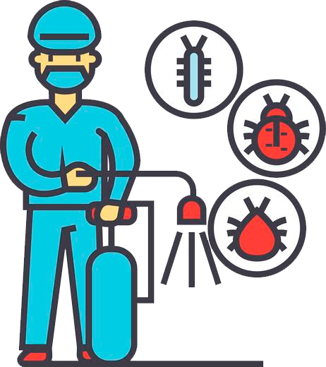 Дезинсекция в Сочи